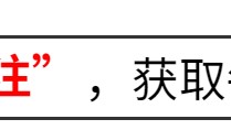 半岛体育-闹大了！中方驱逐美国记者后，不到24小时，美吊销新华社记者许可