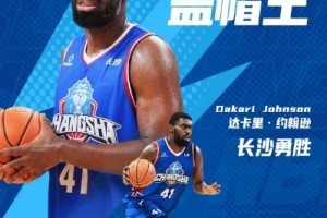 季后赛场均28分16篮板！媒体人：达卡里•约翰逊加盟浙江
