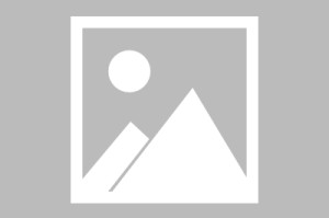 半岛体育APP-WTT阿拉木图赛：国乒首败出！女队替补苦战5局不敌日本二号削球手